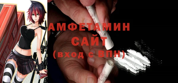крисы Ельня