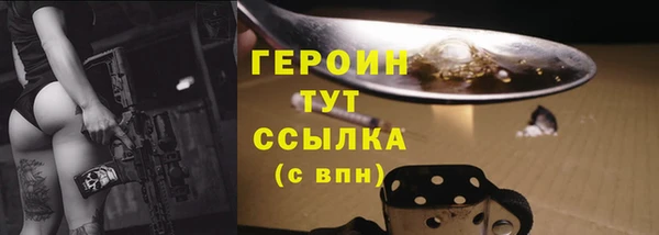 крисы Ельня