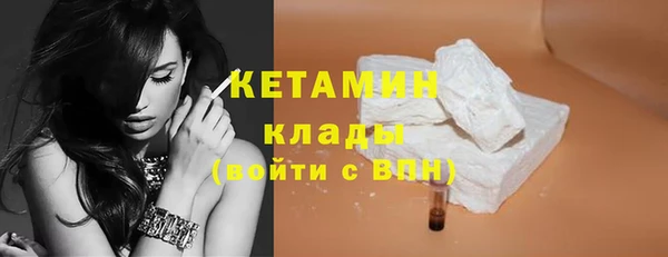 крисы Ельня