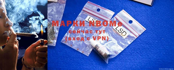 крисы Ельня