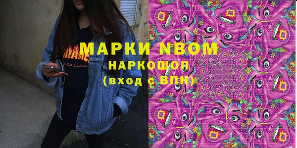 крисы Ельня