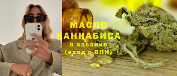 крисы Ельня