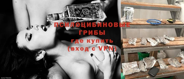 крисы Ельня