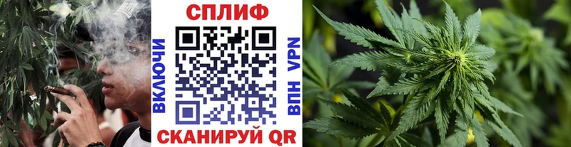 купить   Дегтярск  Канабис THC 21% 